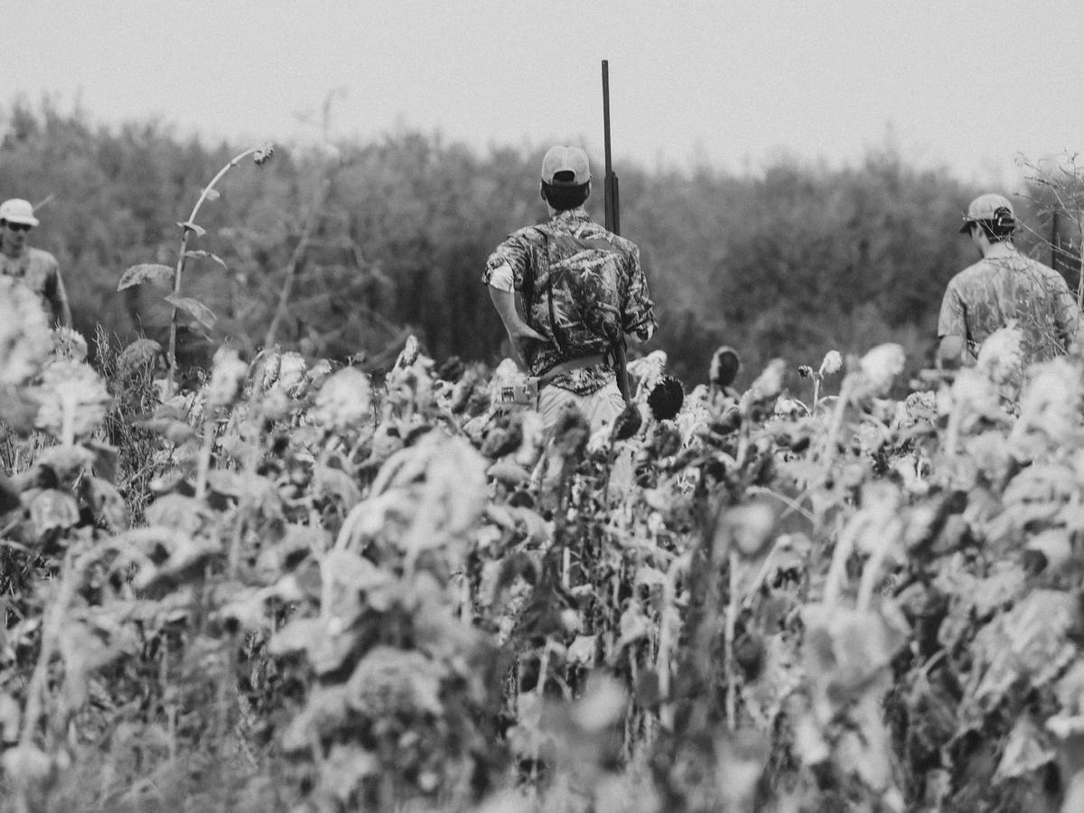 Hunters walking through a field