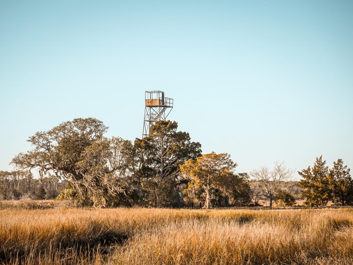 Hunting tower above a golden marsh